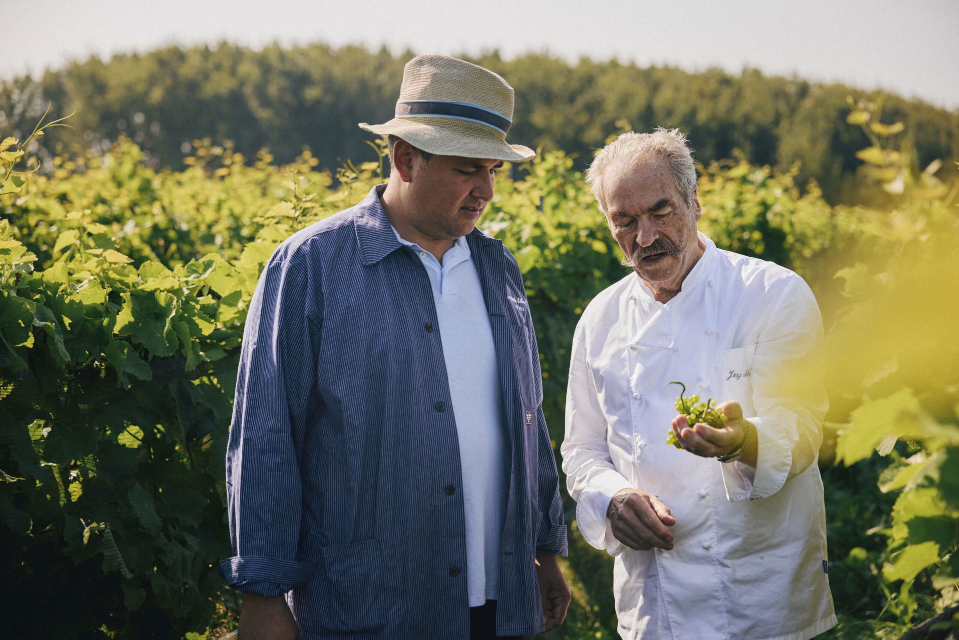 Männer im Weinberg