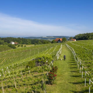 Steiermark Hügellandschaft