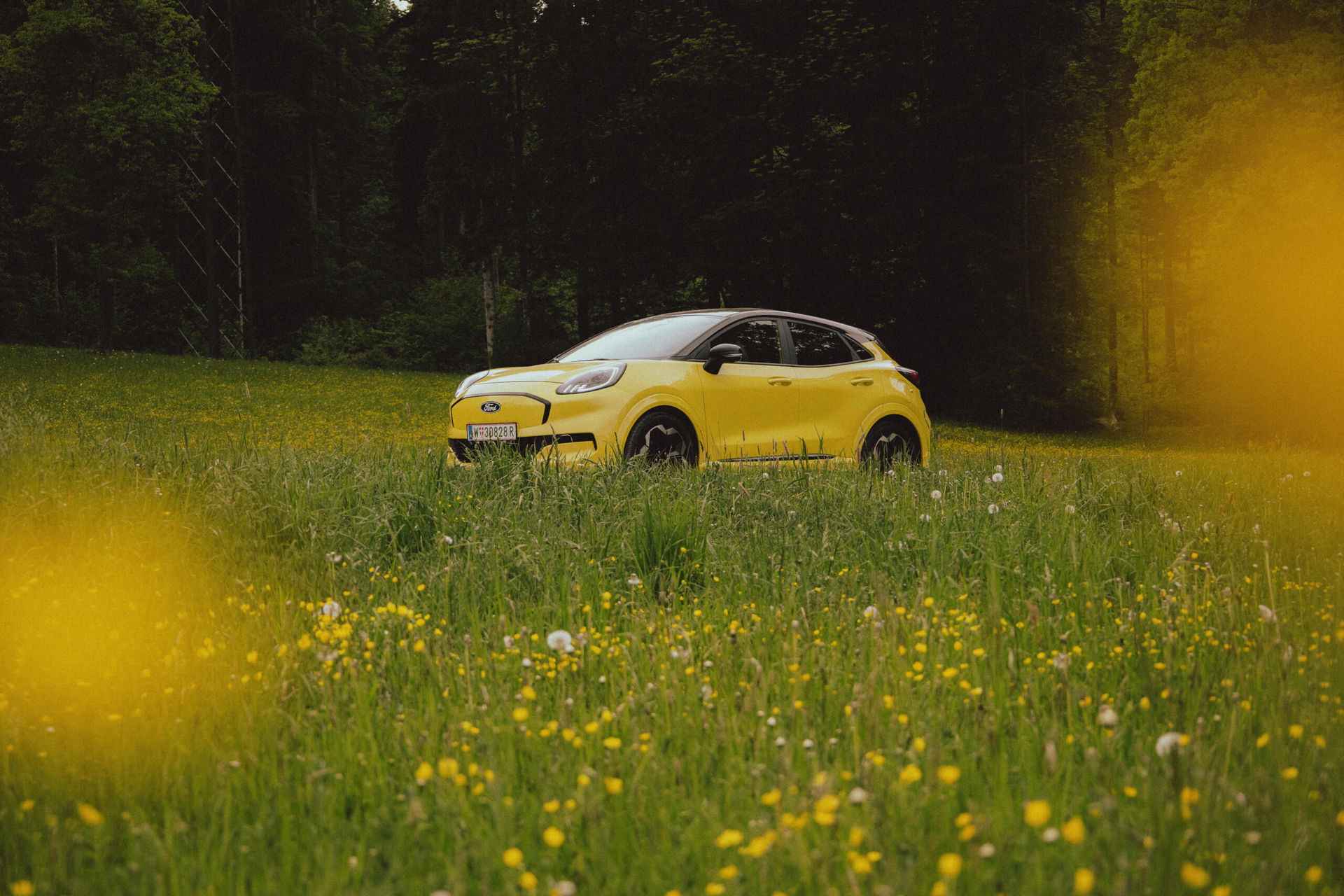 Der Ford Puma im Blumenfeld