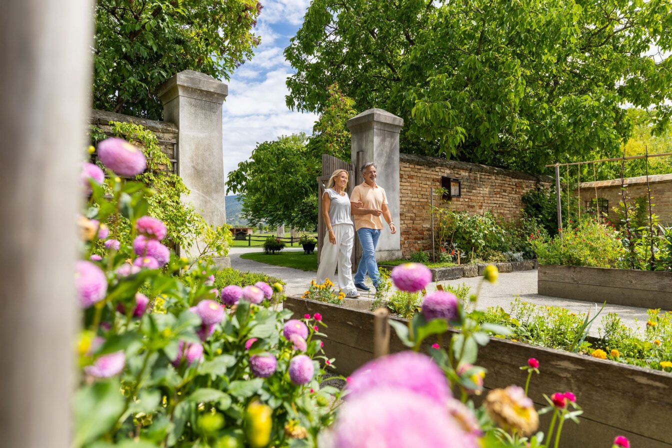 Ein Paar spaziert durch ein historisches Tor in den blühenden Gutshof von Schloss Hof; im Vordergrund rosa Blumen in Hochbeeten.