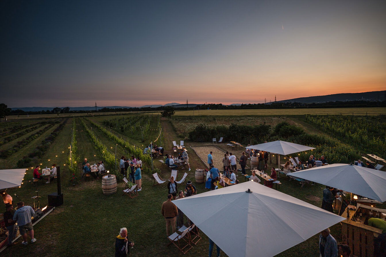 Menschen verbringen den Sonnenuntergang im Garten vor dem Weingut Esterházy im Burgenland