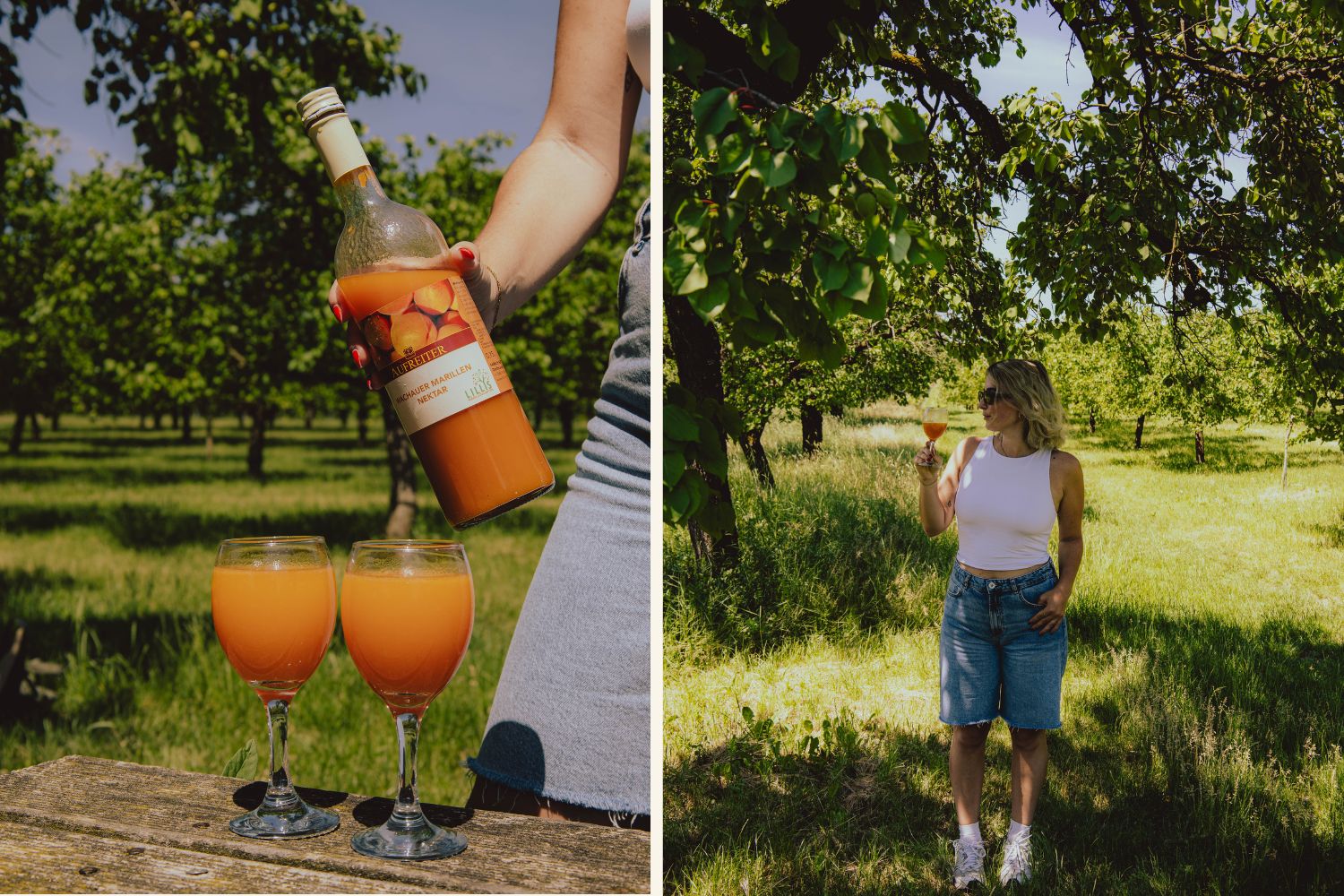 Marillensaft in der Wachau