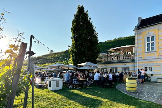 Domäne Wachau Heuriger 2026 Dürnstein