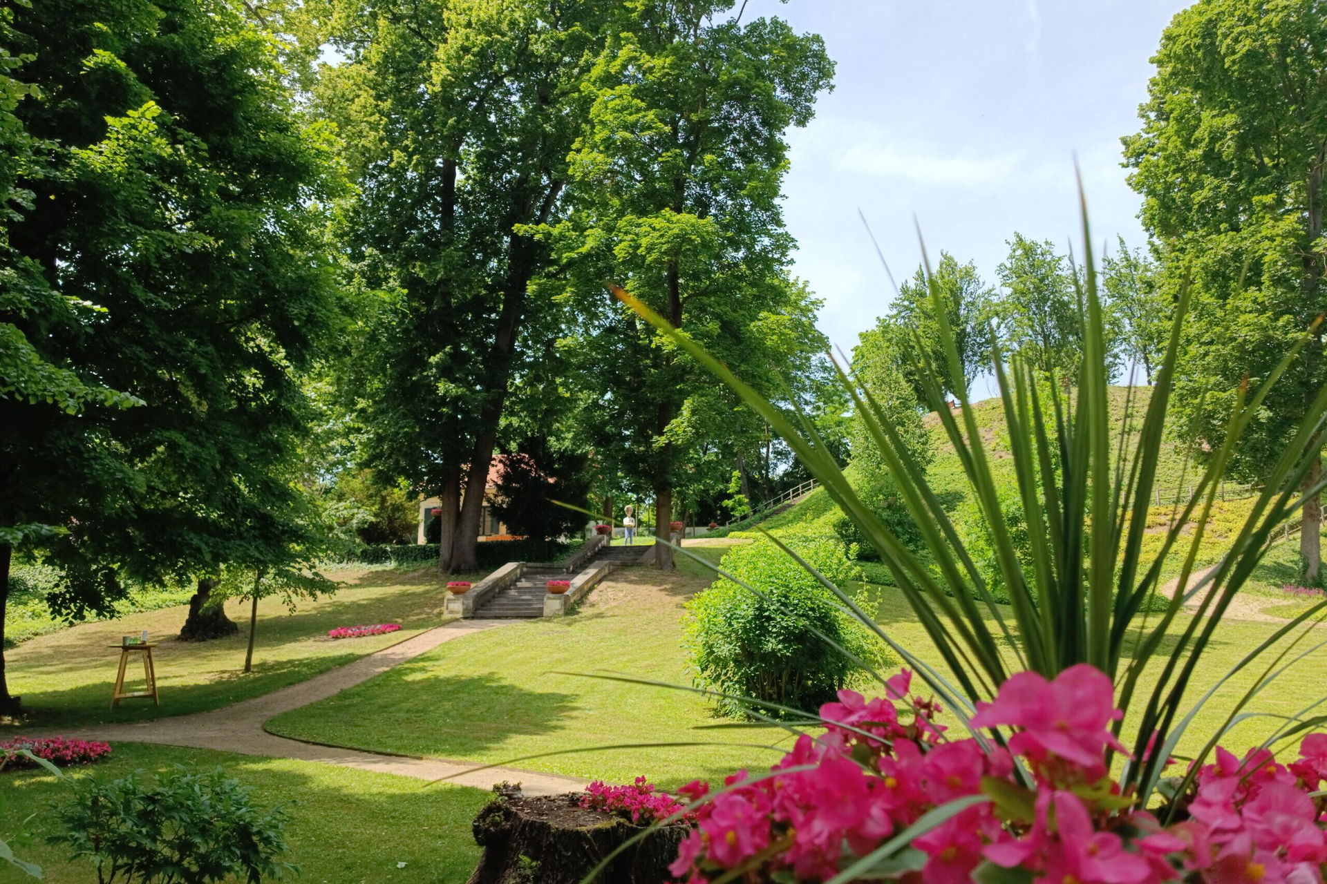 grüne Wiesen und bunte Blumen im Englischen Garten am Heldenberg im Weinviertel in Niederösterreich