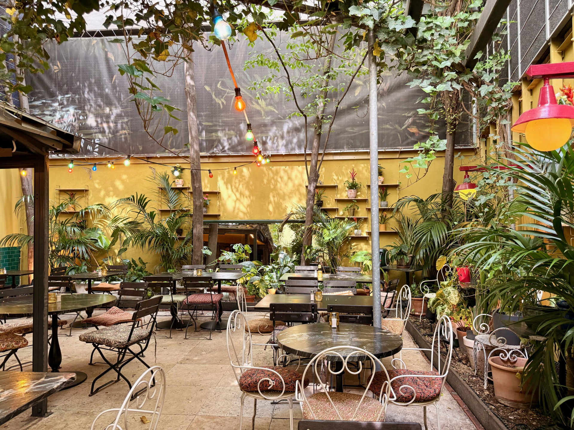 Gastgarten mit Pflanzen im Thell