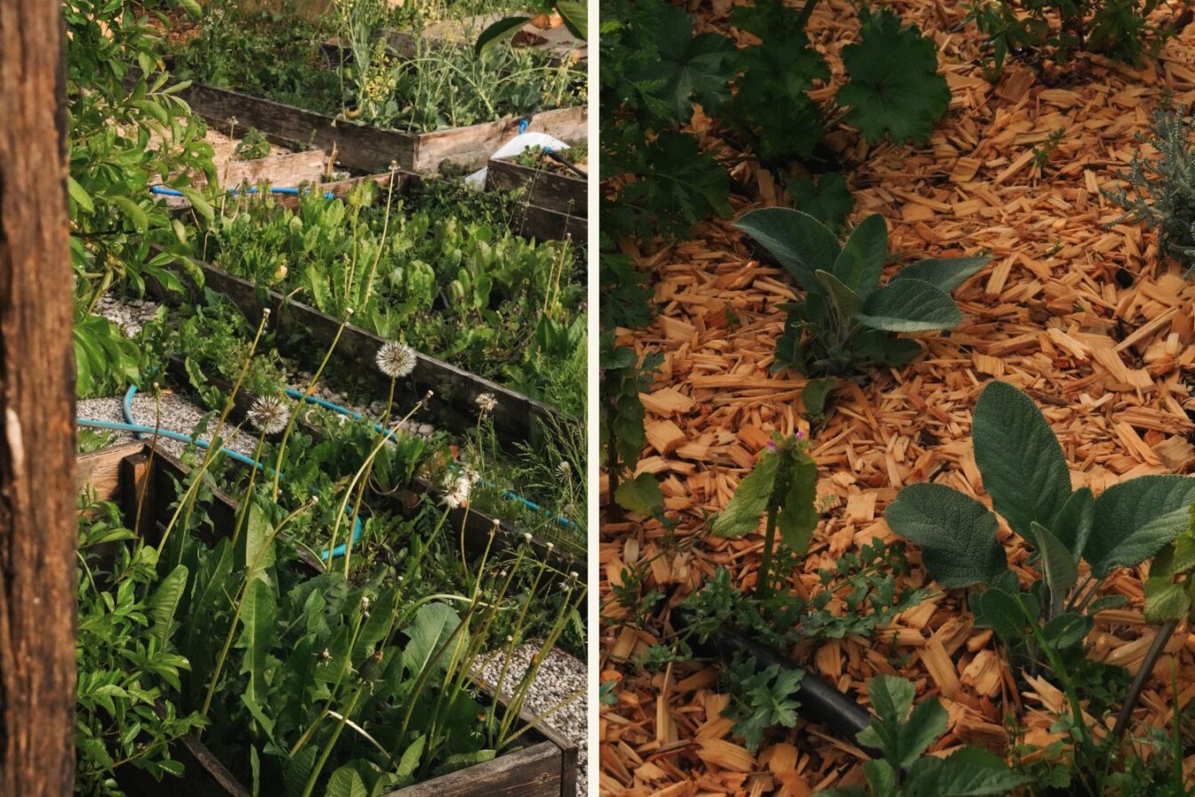 Der eigenen Garten im Restaurant Hisa Franko in Kobarid in Slowenien von Ana Ros.