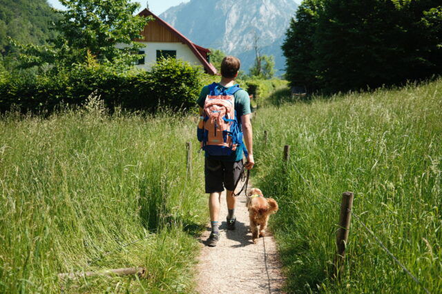 1000things Gründer Jan Pöltner wandert mit Hündin Frieda und Rucksack von Manner durch Wiesen