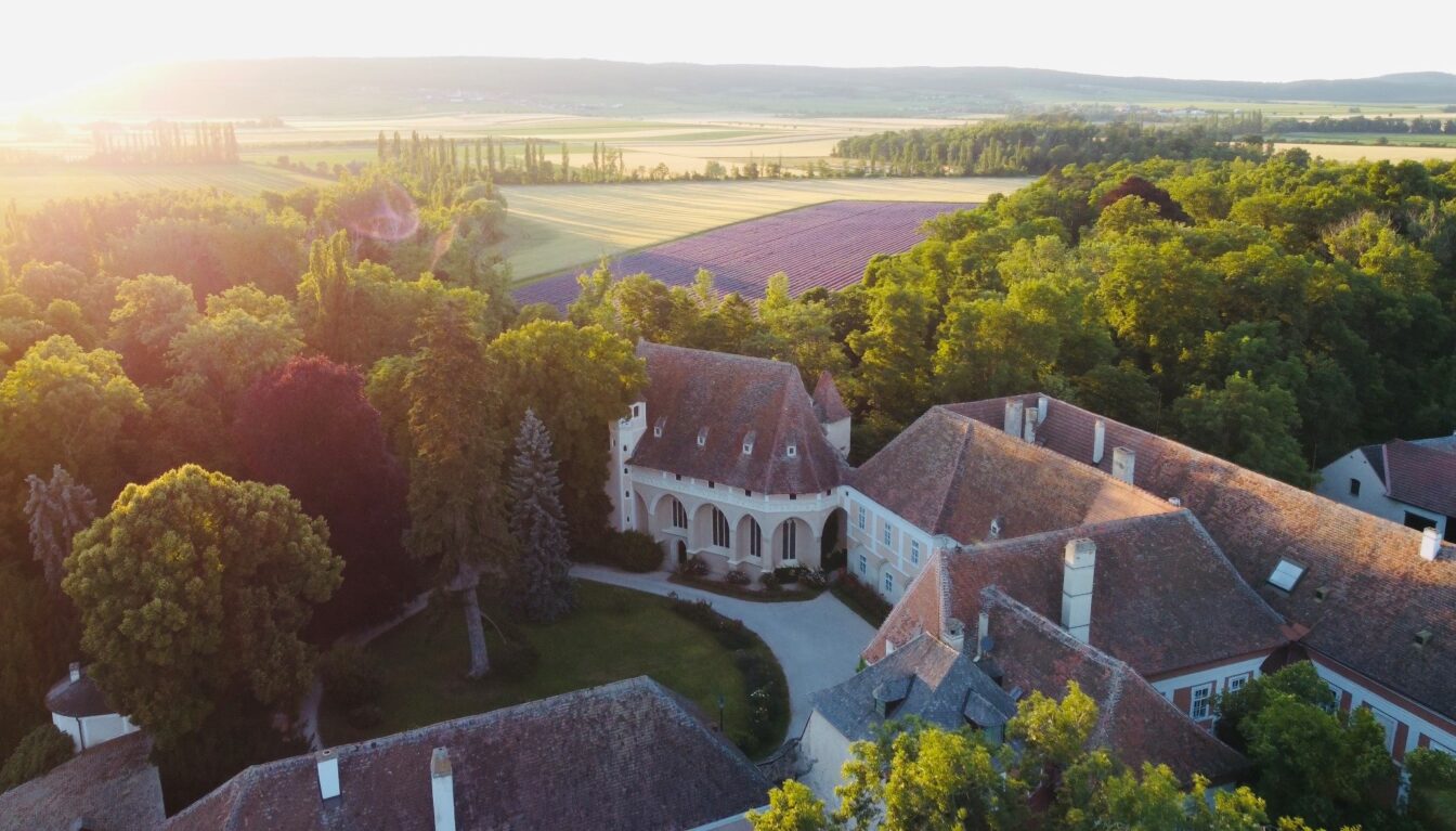 Im Vordergrund Schloss Schrattenthal, im Hintergrund das blühende Lavendelfeld