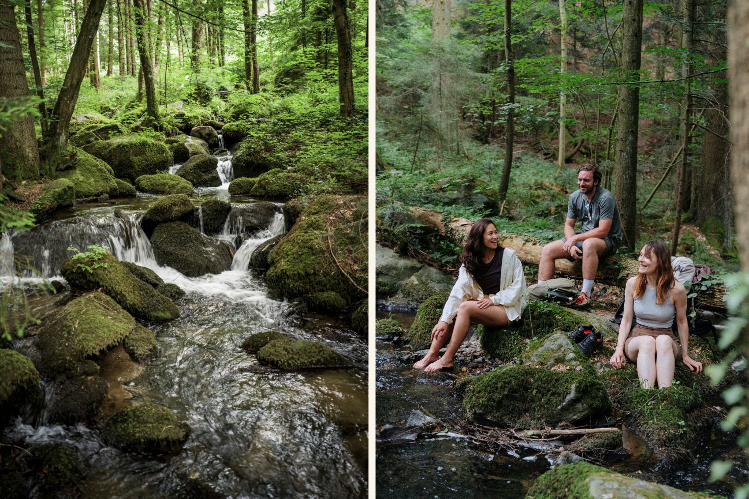 Collage mit zwei Fotos von der Steinbachklamm bei Marbach an der Donau in Niederösterreich