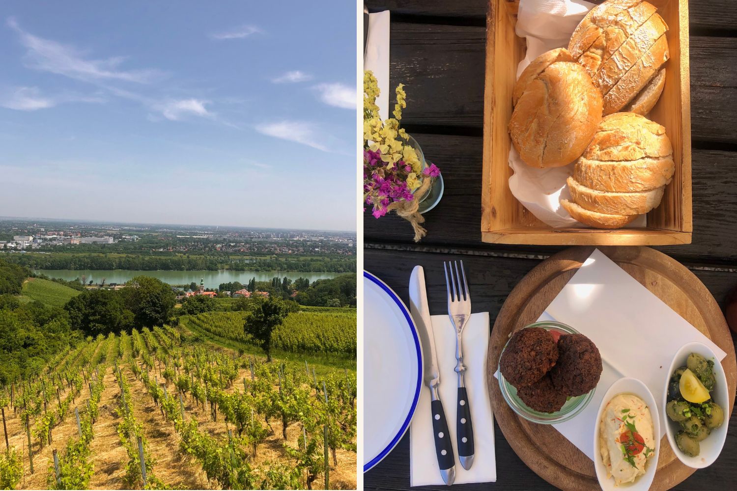 Ausblick und Jause beim Heuriger Der Hirt 