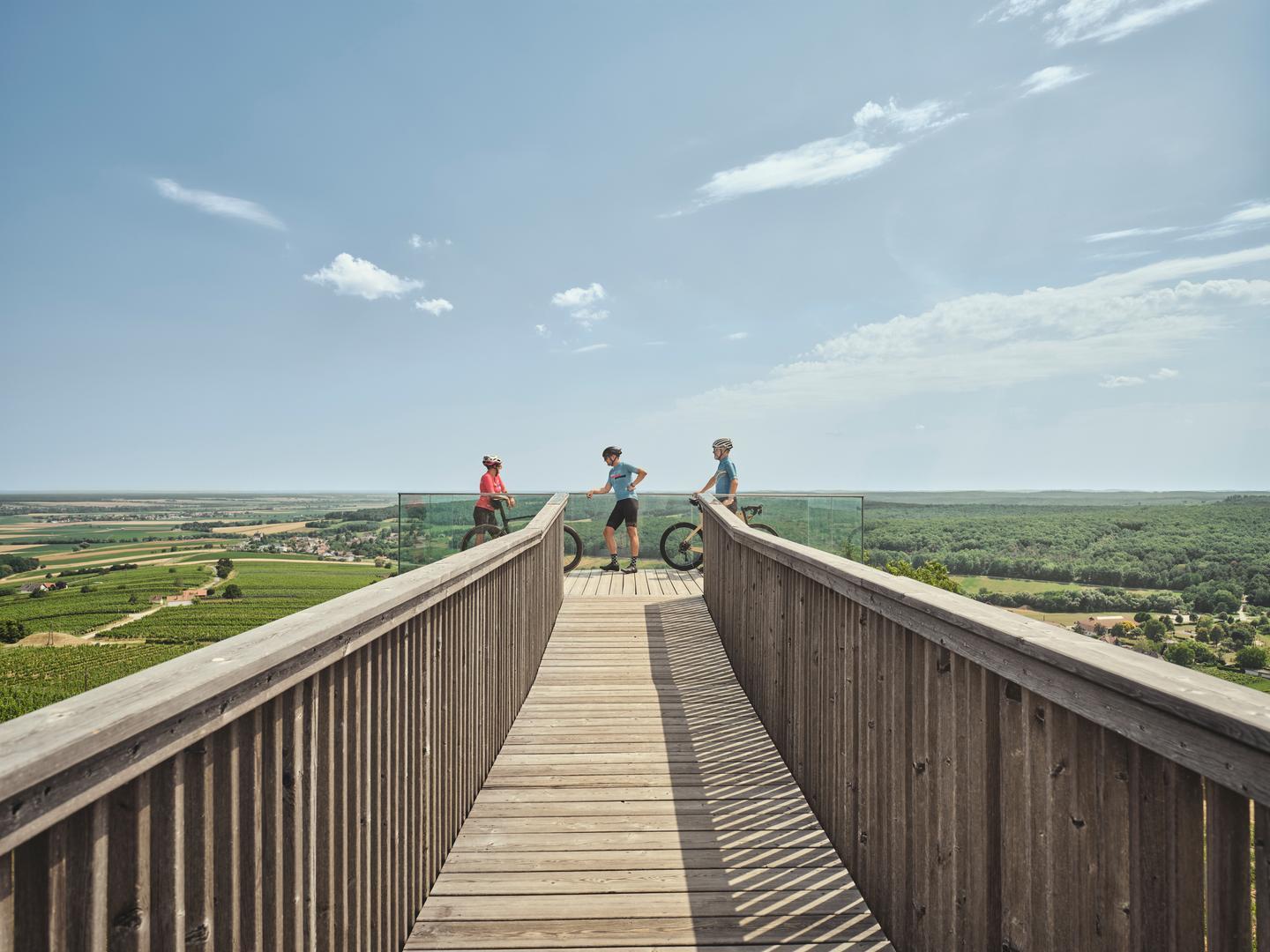 Radfahren im Südburgenland mit Weinblick am Eisenberg