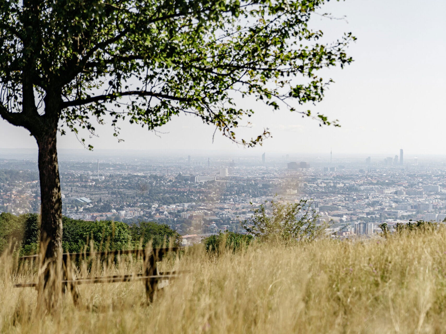 Lainzer Tiergarten / Lainz Game Reserve – Ausflugsziel in Wien, 1130
