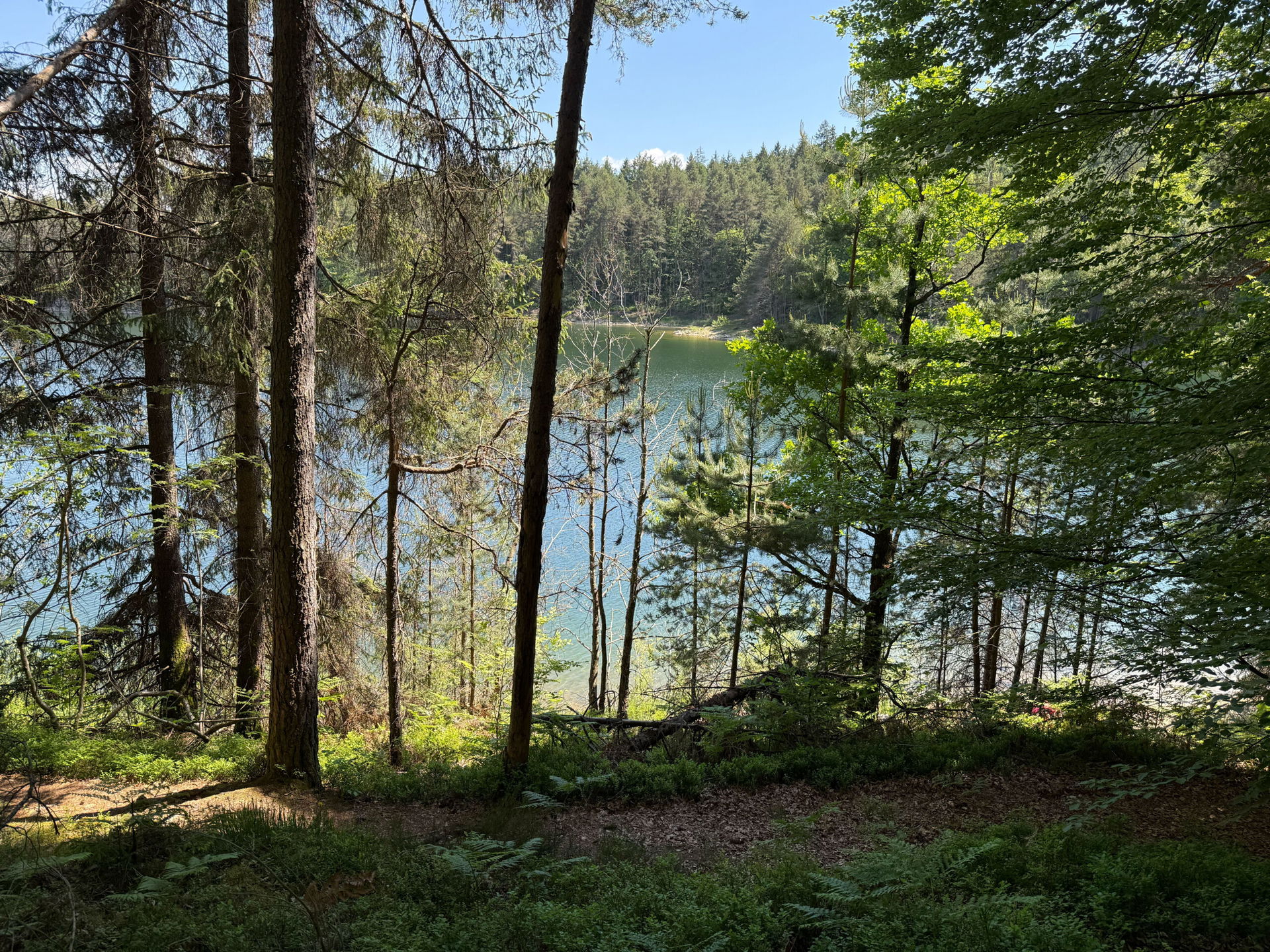 Blick auf den naturbelassenen Forstsee in Kärnten