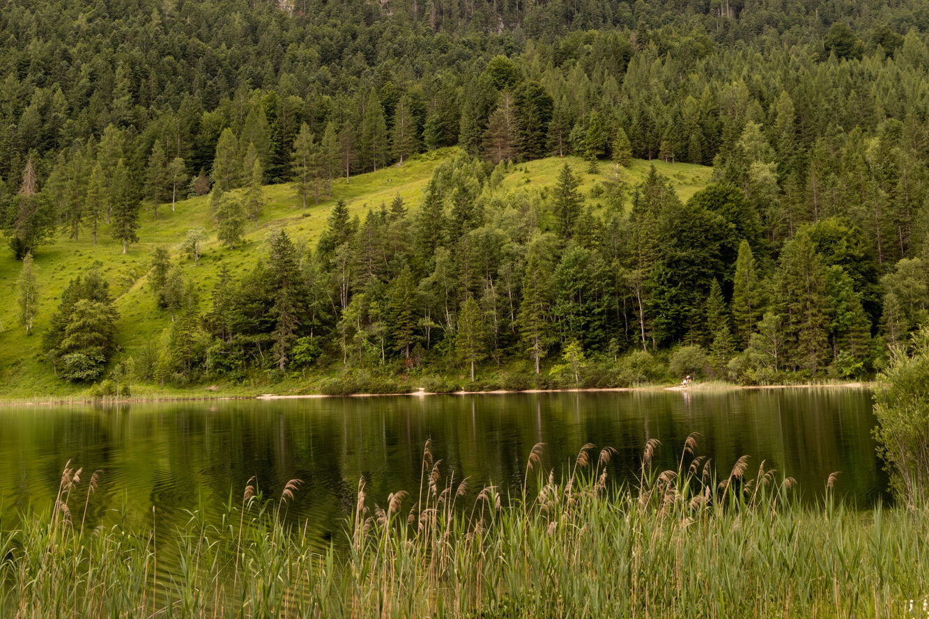 Blick auf den idyllischen Ferchensee bei Mittenwald mit spiegelglattem Wasser, grüner Waldlandschaft und markantem Alpenmassiv im Hintergrund.