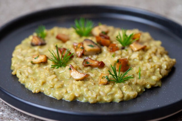 Risotto im Biohotel & Bikehotel Steineggerhof in Südtirol