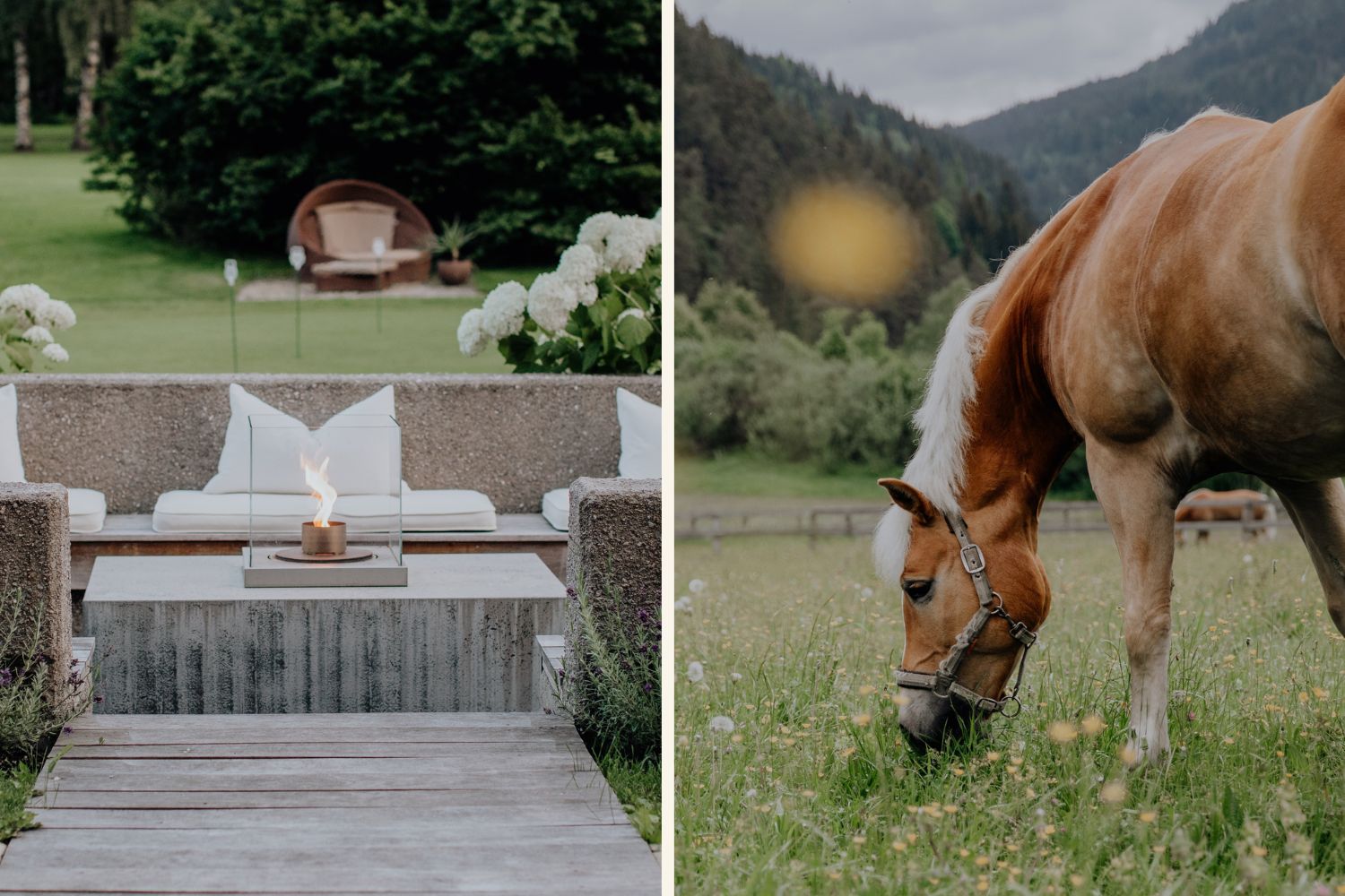 Collage von Gut Weissenhof in Radstadt Terrasse und Reitkoppel mit Pferd
