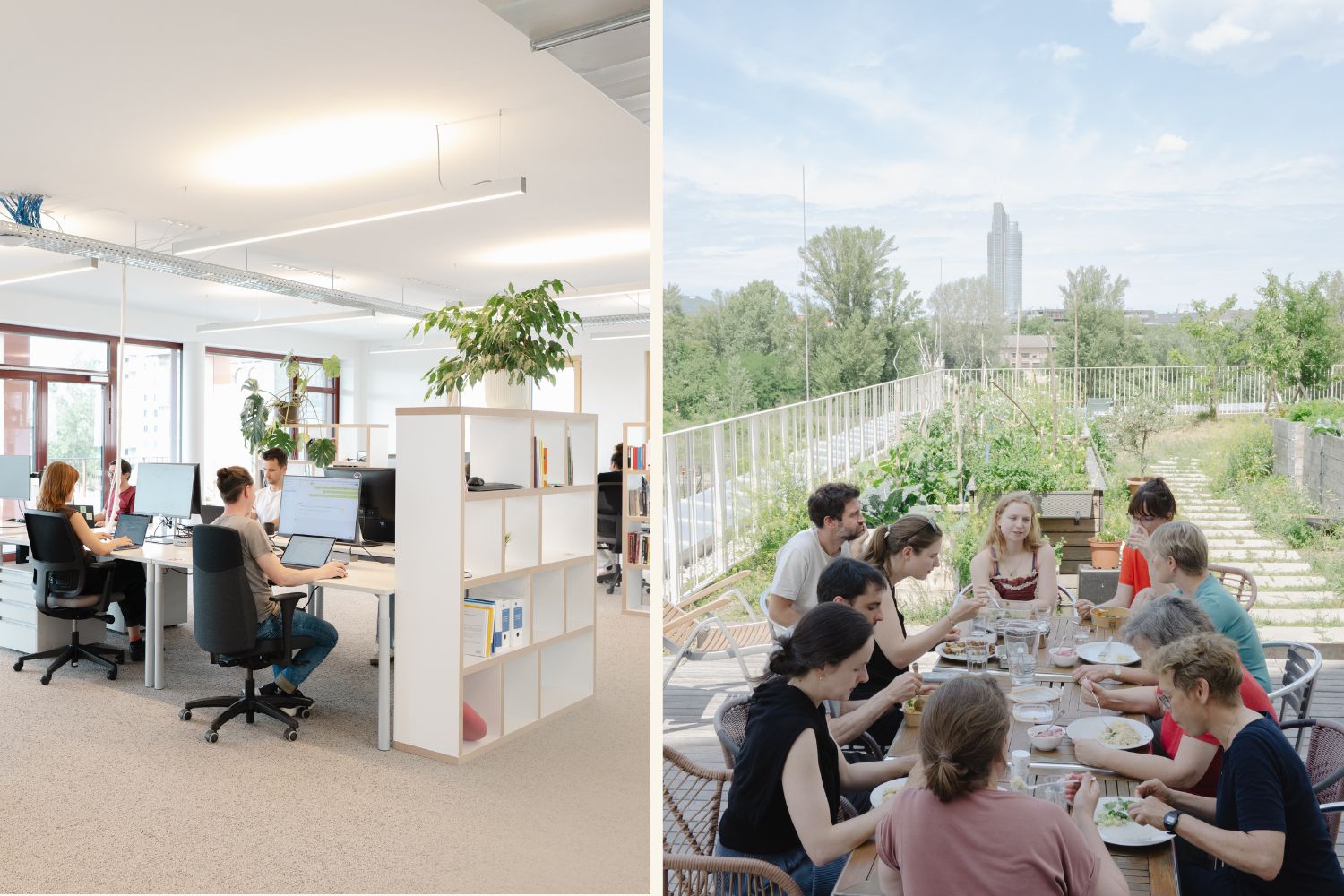 Co-Working und gemeinsames Mittagessen in der HausWirtschaft
