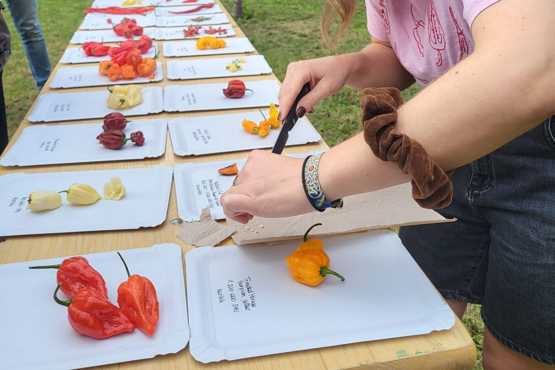 Tomaten- & Chilli-Verkostung am Sweet & Spicy Fest