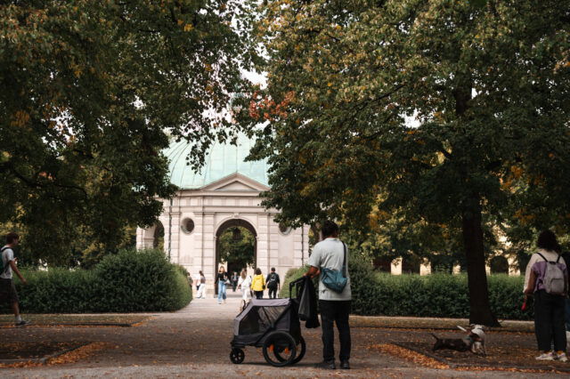 Dackel im Münchner Park