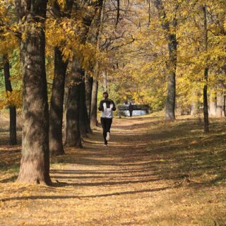 Läuferin im Herbstwald (c) Ekaterina Novitskaya | Unsplash