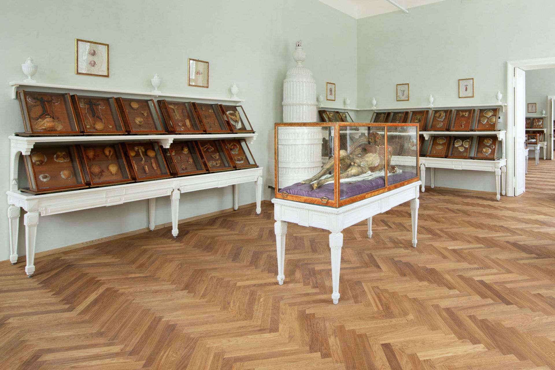 Wachsfigur und Organe aus Wachs in einem hellen Ausstellungsraum im Josephinum Wien