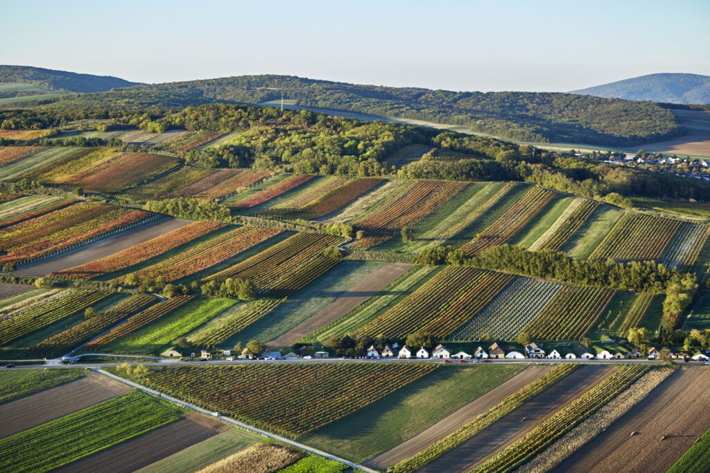 Luftaufnahme vom Spitzerberg mit Kellergasse von Prellenkirchen im Weinbaugebiet Carnuntum in Niederösterreich