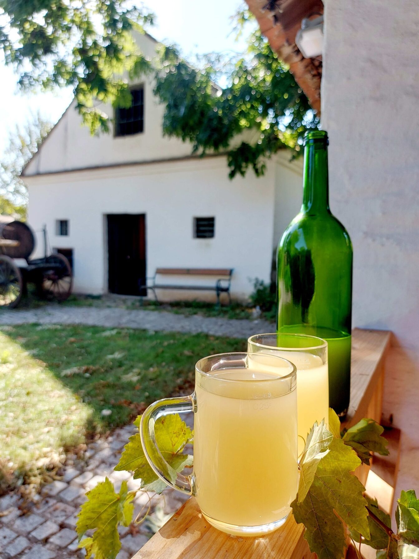 im Vordergrund ein volles Glas Sturm, im Hintergrund das Vino Versum Poysdorf