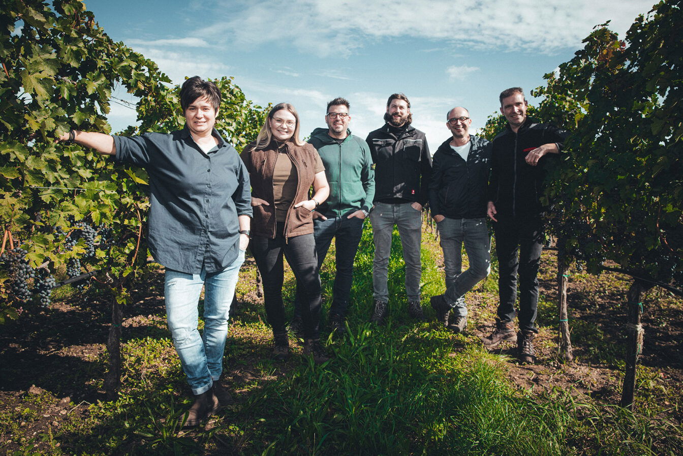 die Weingüter Klein, Smoley, Reeh, Schwarz, Zantho und Scheiblhofer laden zum Weinherbst nach Andau im Burgenland