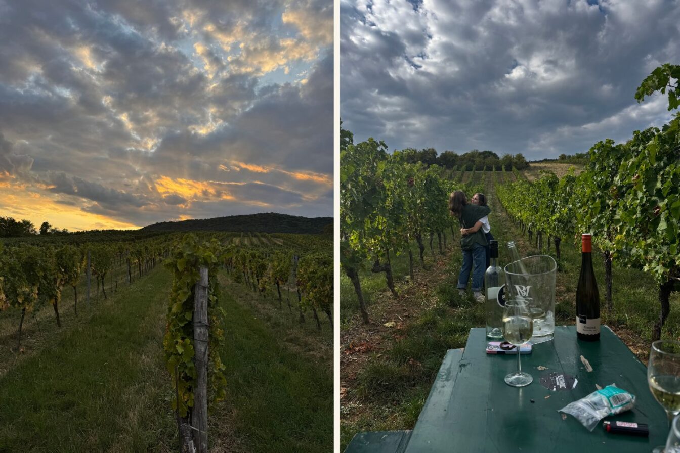 Beim Weinwandern in Österreich kommt es vor allem drauf an, dass man mit den richtigen Leuten unterwegs ist.