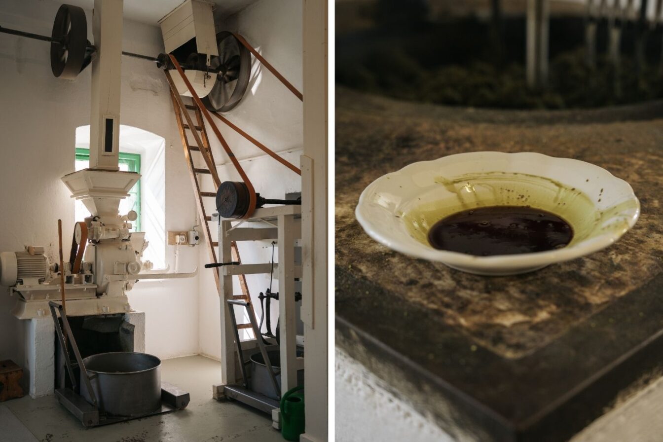Historische Mühle zur Herstellung von steirischem Kürbiskernöl und frisch gepresstes Kernöl in einer Schale