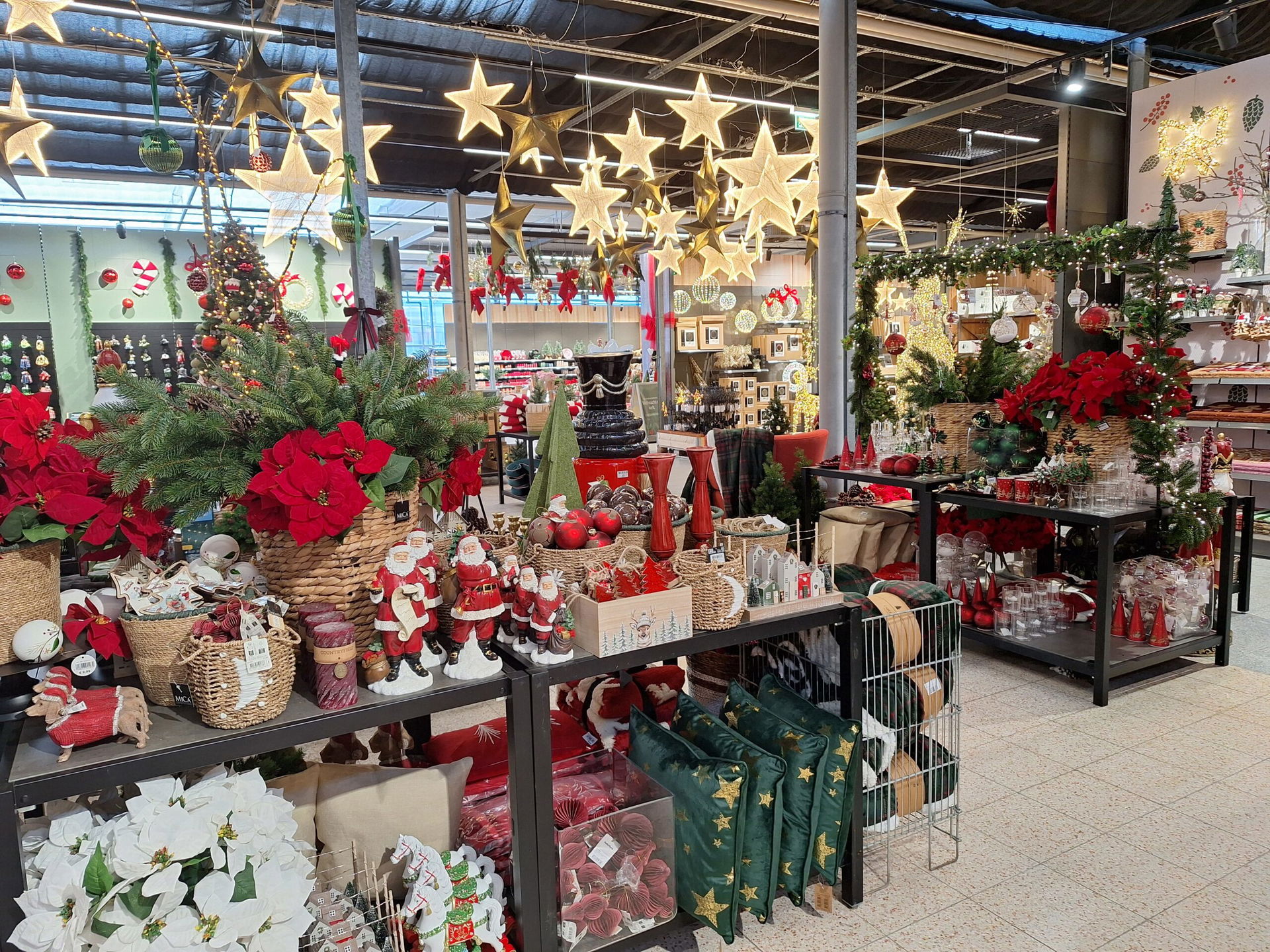 bellaflora Waldwohnzimmer