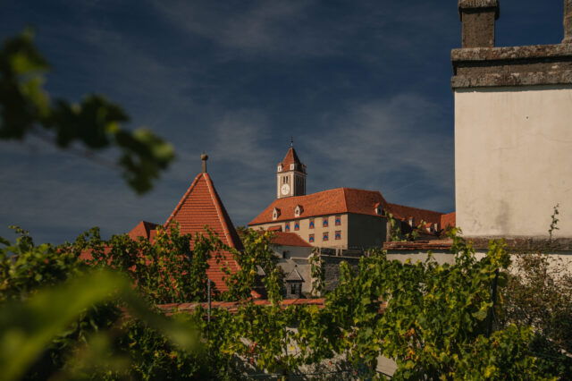 Auf der Riegersburg hat man einen wunderschönen Ausblick über das Thermen- und Vulkanland der Südoststeiermark.