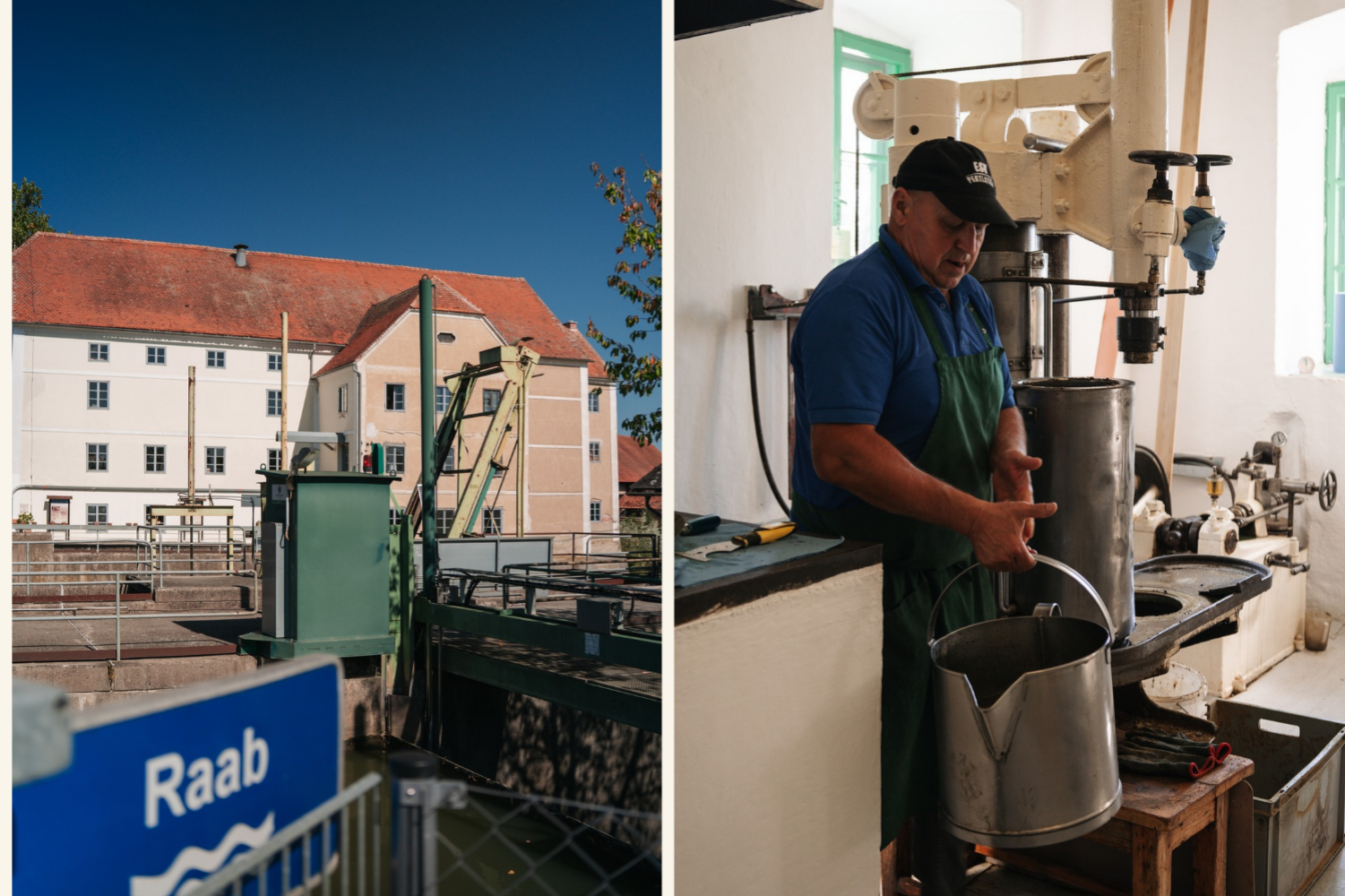 In der Berghofer Mühle in Fehring erkundet man die Geschichte sowie der Herstellung von Kernöl.