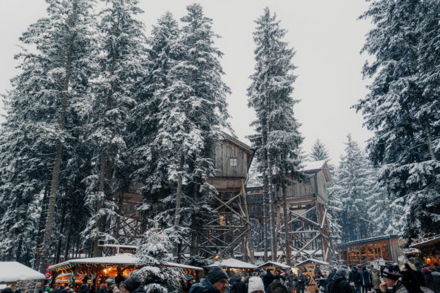 Die Waldweihnacht Kopfing erstrahlt in einer bezaubernden Dekoration, die die Besucher in eine märchenhafte Welt entführt, in der funkelnde Lichter, festliche Farben und liebevoll gestaltete Details die Magie des Weihnachtsfestes zum Leben erwecken.