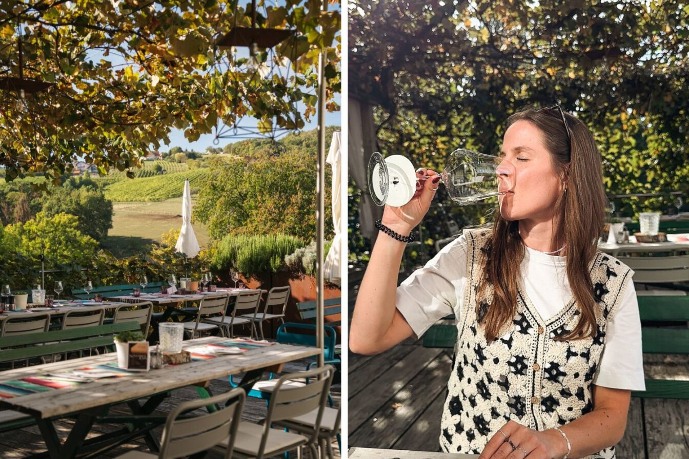 Im Weinhof Scharl bei Charakterweinen die Zeit vergessen.
