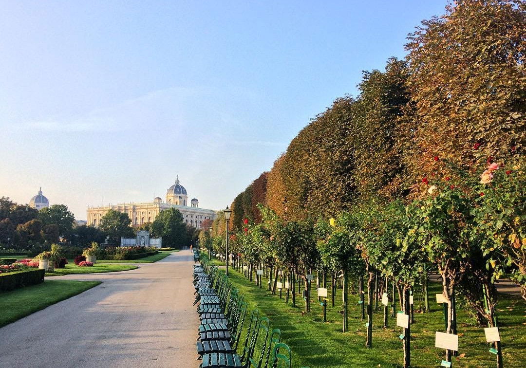 (c) Marie Amenitsch | 1000things Volksgarten Wien Herbst