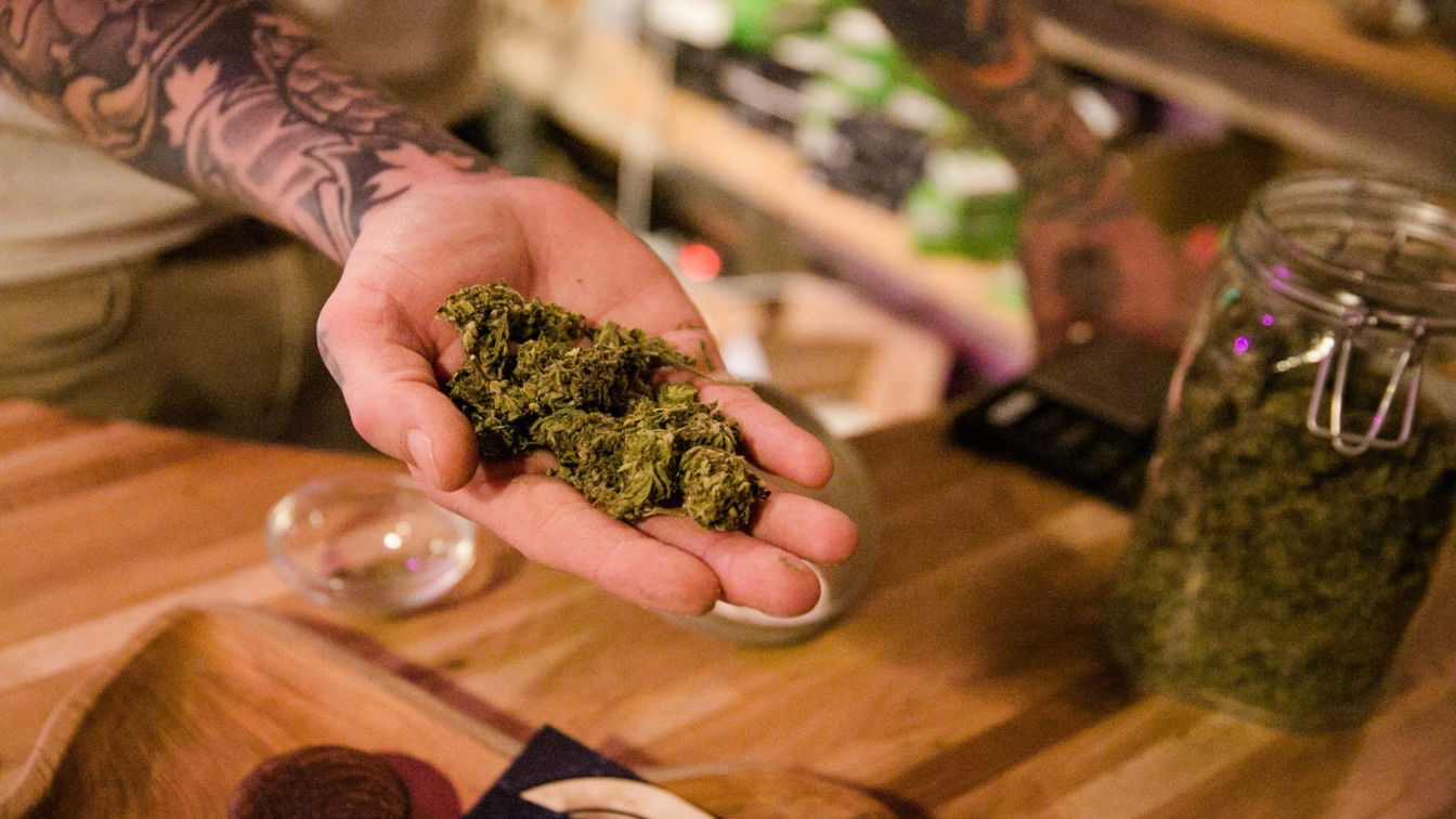 CBD: Graslerei Graz