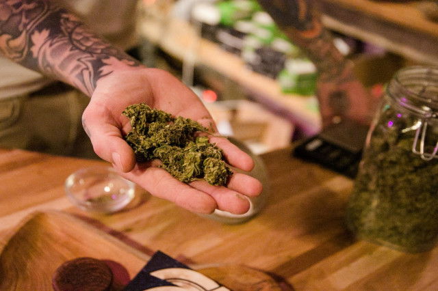 CBD: Graslerei Graz