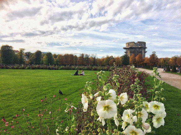Herbst in Wien