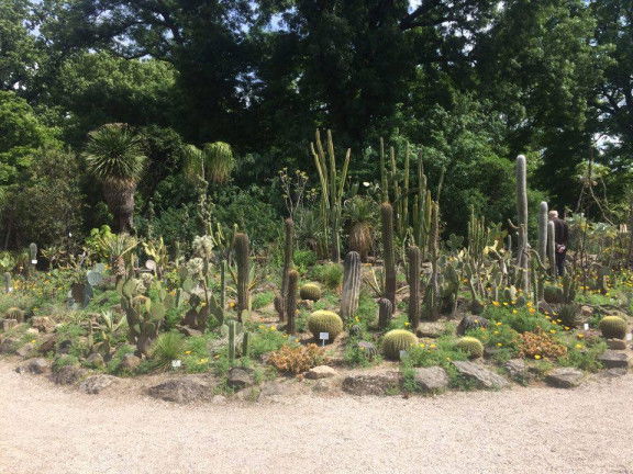 Botanischer Garten