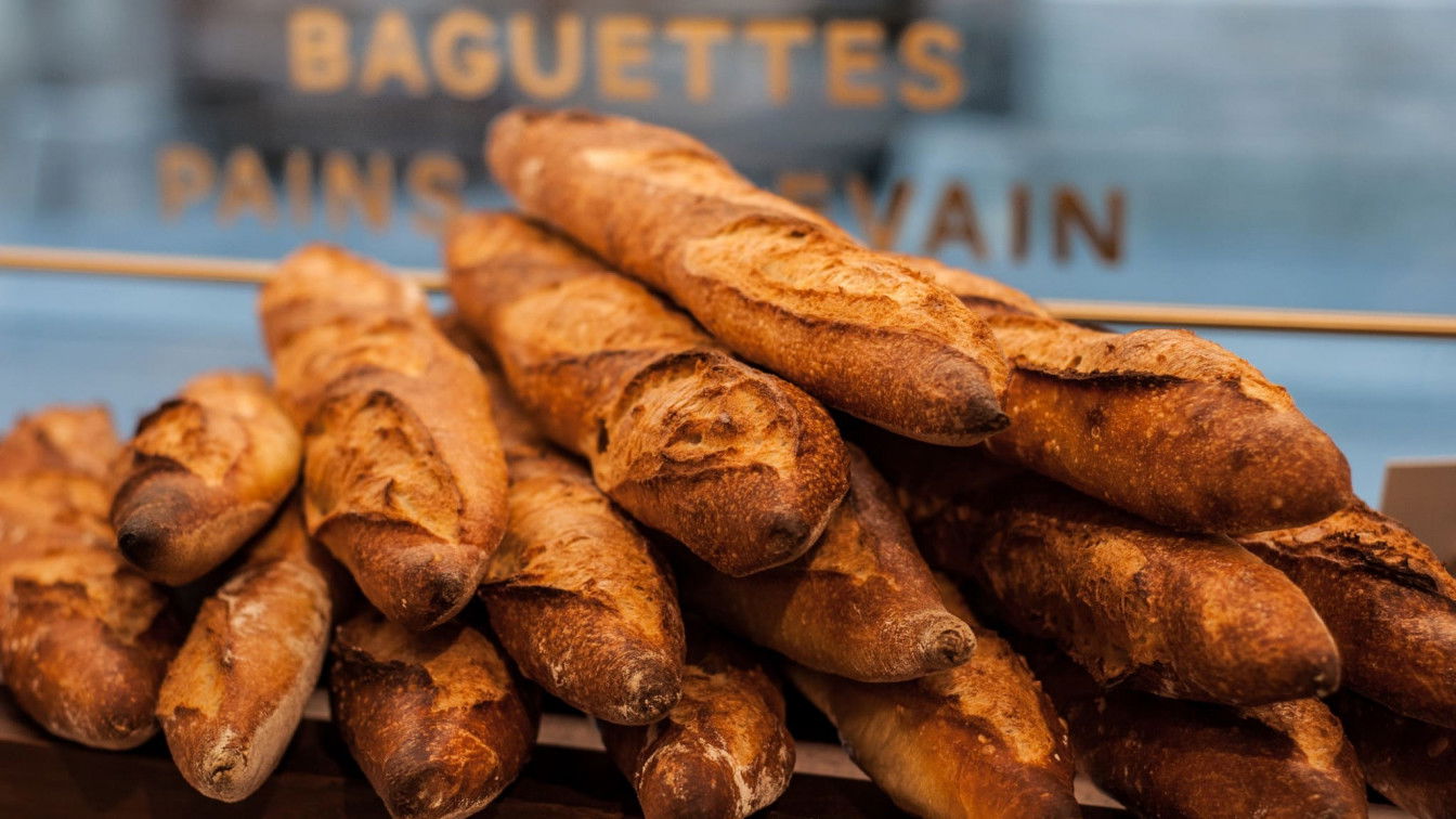 (c) Charlotte Forest Paremi Baguette