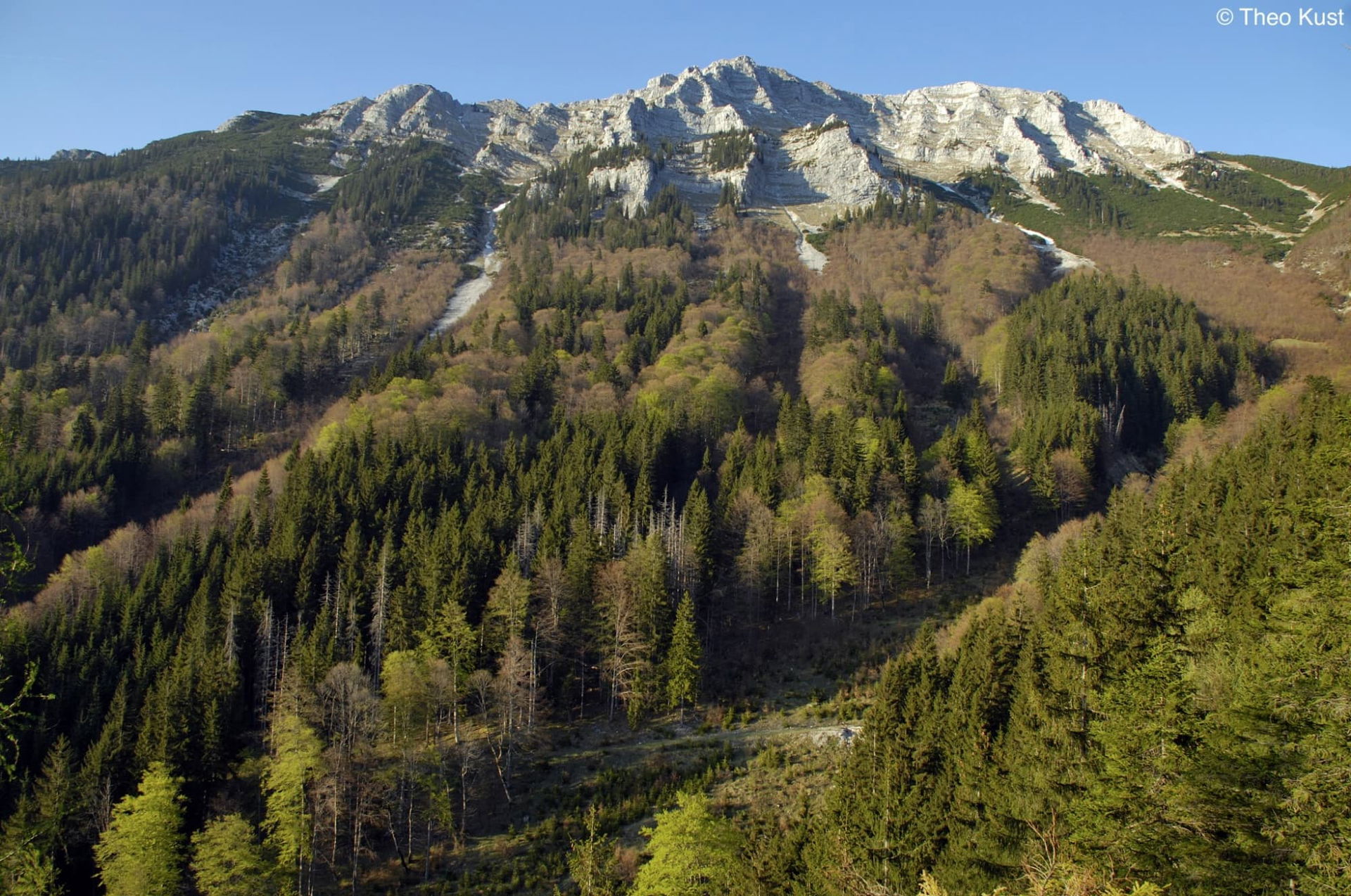 Die Südwestflanke des Dürrenstein im Frühling
