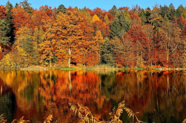 Herbstlandschaft