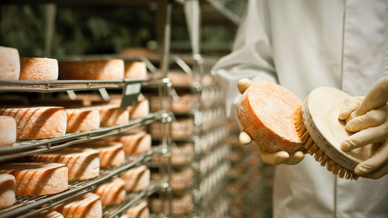 (c) Almenland Stollenkäse
