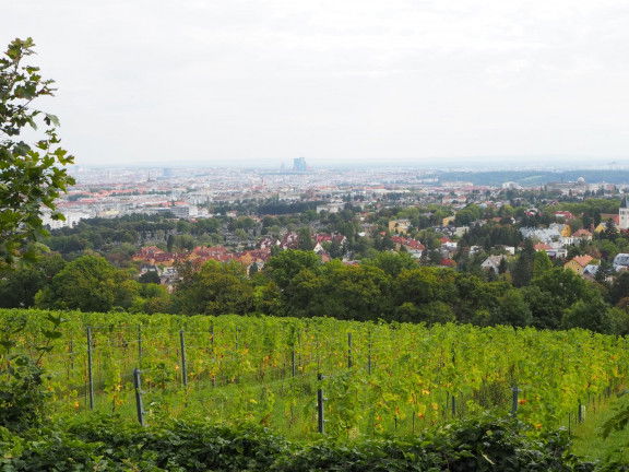 Heurigen Wien