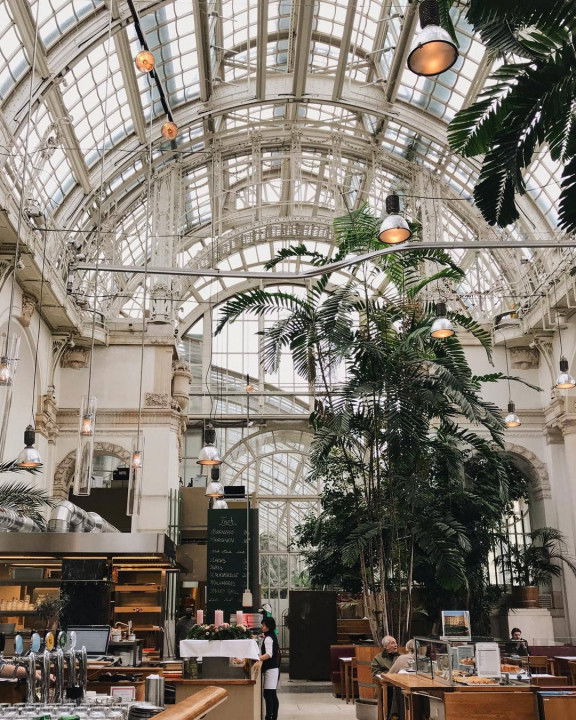 Palmenhaus Winter wie im Urlaub