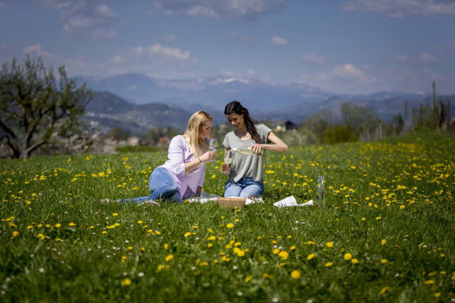 Picknicken Steiermark