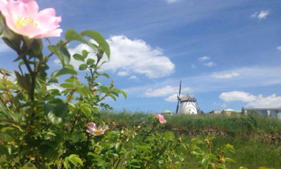 Retz: Windmühle