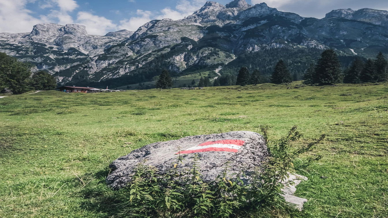 (c) Thomas Quaritsch / unsplash
