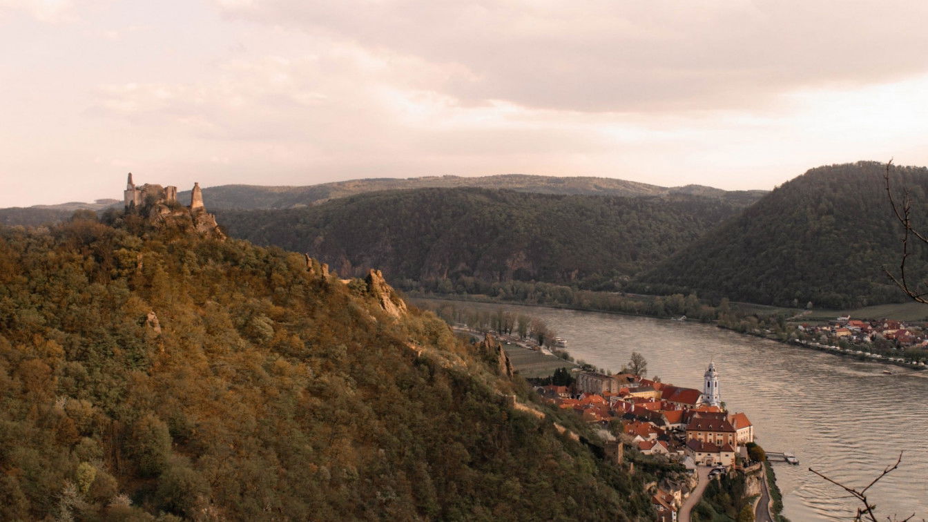 Aussicht von der 'Nase' auf Dürnstein und die Burgruine Dürnstein. (c) Katharina Tesch | 1000things Aussicht von der 'Nase' auf Dürnstein und die Burgruine Dürnstein - (c) 1000things.at, Katharina Tesch